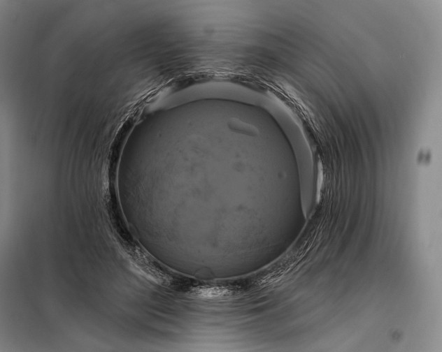 X0000098130500200805011324