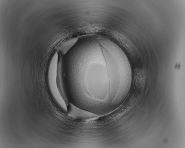 X0000098130501200805011324