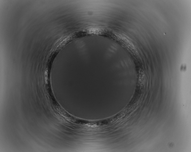 X0000098130502200805011324