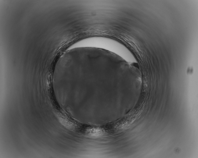 X0000098130503200805011324