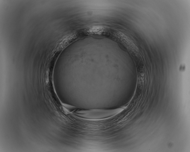 X0000098130504200805011324