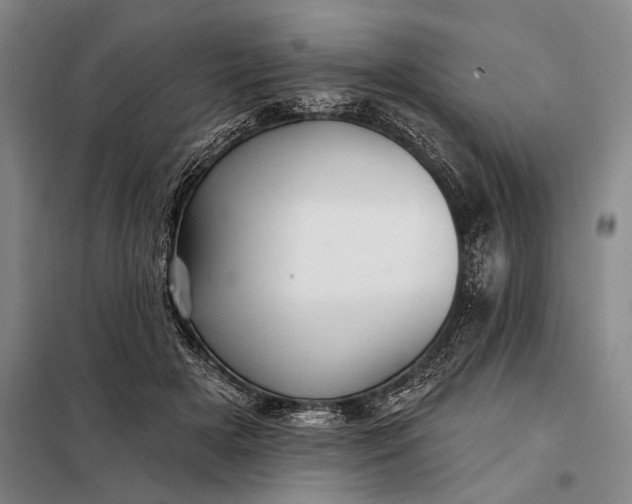 X0000098130505200805011324