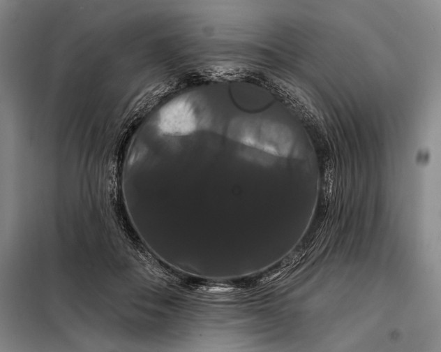 X0000098130506200805011324
