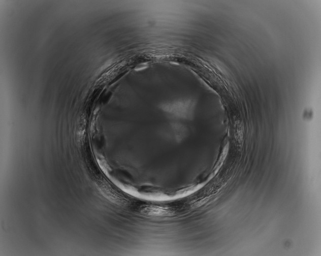 X0000098130507200805011324