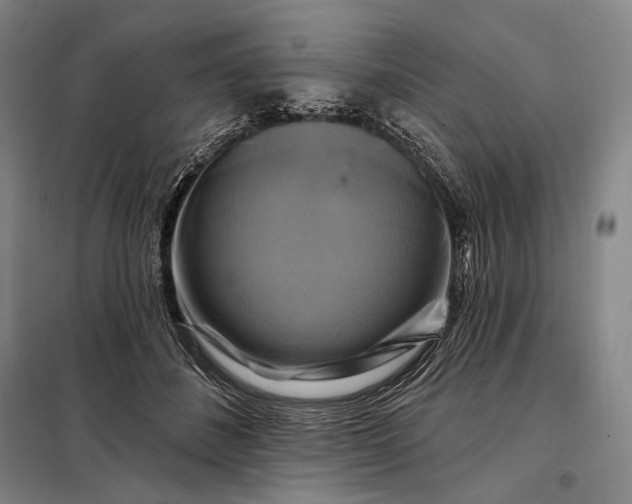X0000098130508200805011324
