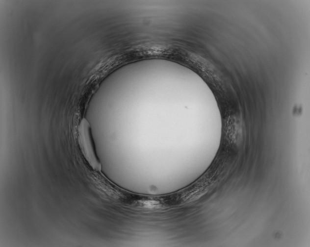 X0000098130509200805011324