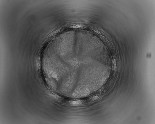 X0000098130510200805011324