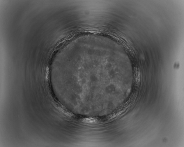 X0000098130511200805011324