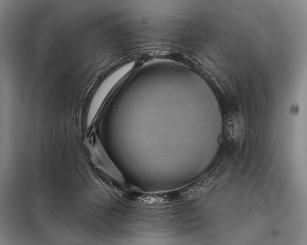 X0000098130512200805011324