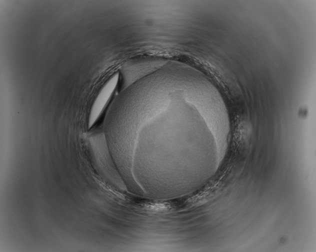 X0000098130513200805011324