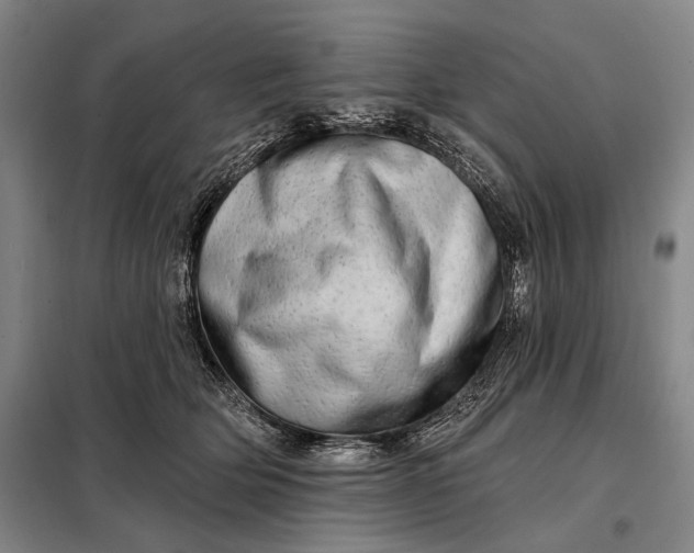 X0000098130514200805011324