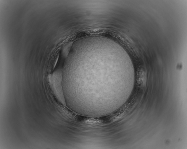 X0000098130515200805011324