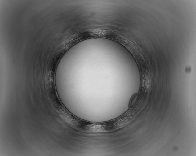 X0000098130518200805011324