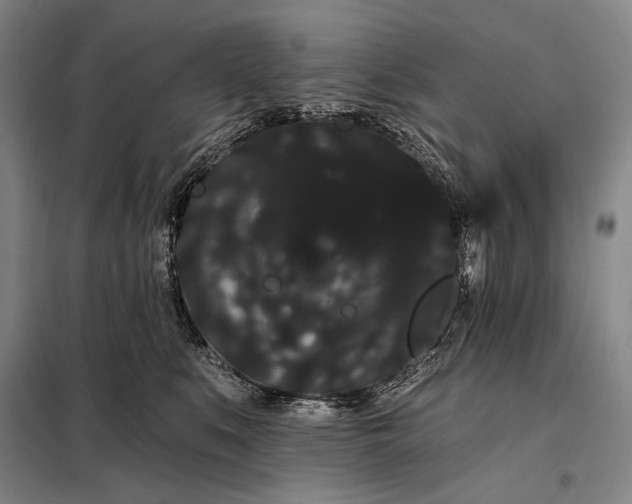 X0000098130519200805011324