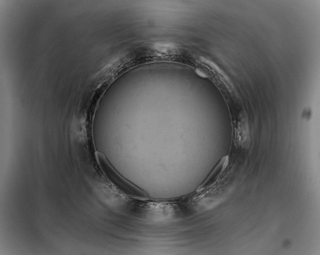 X0000098130520200805011324