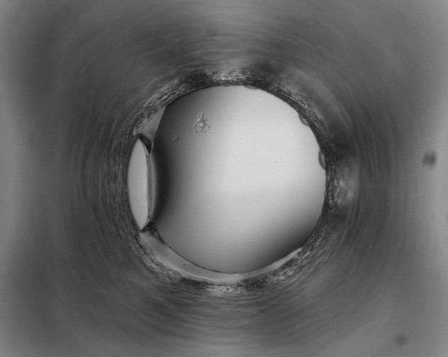 X0000098130521200805011324