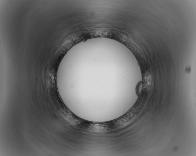 X0000098130522200805011324