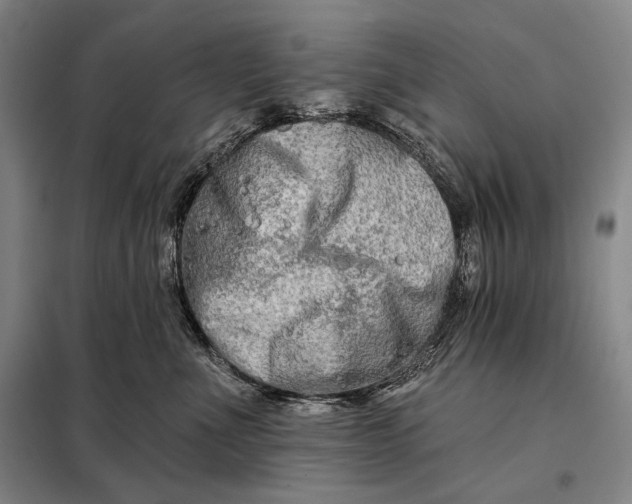 X0000098130523200805011324