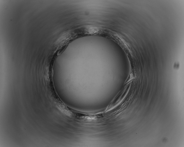 X0000098130524200805011324