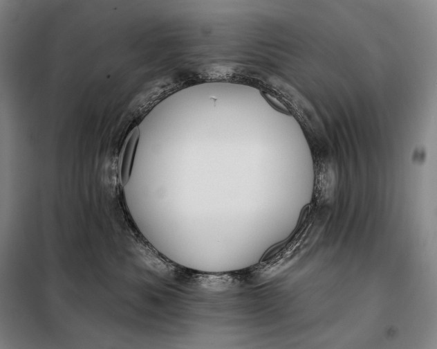 X0000098130525200805011324
