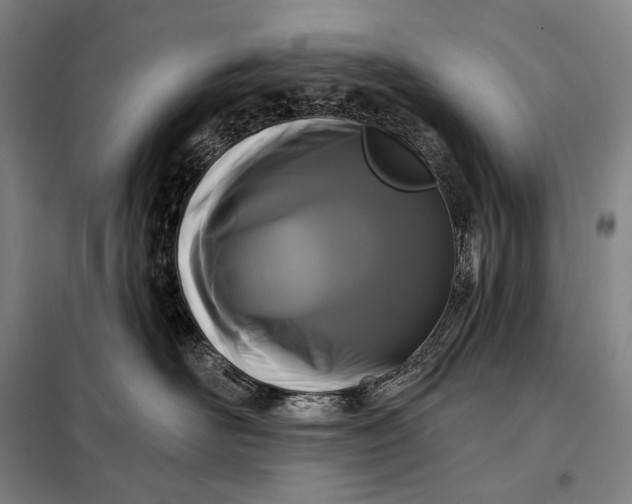 X0000098130526200805011324