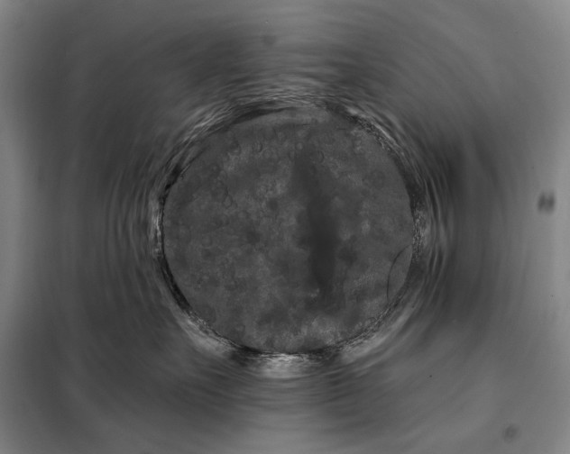 X0000098130527200805011324