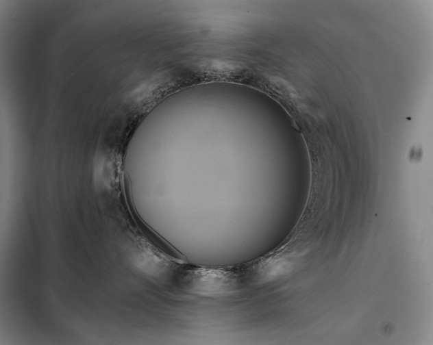 X0000098130528200805011324