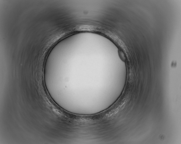 X0000098130529200805011323