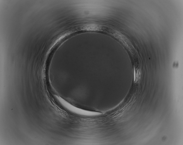 X0000098130531200805011323