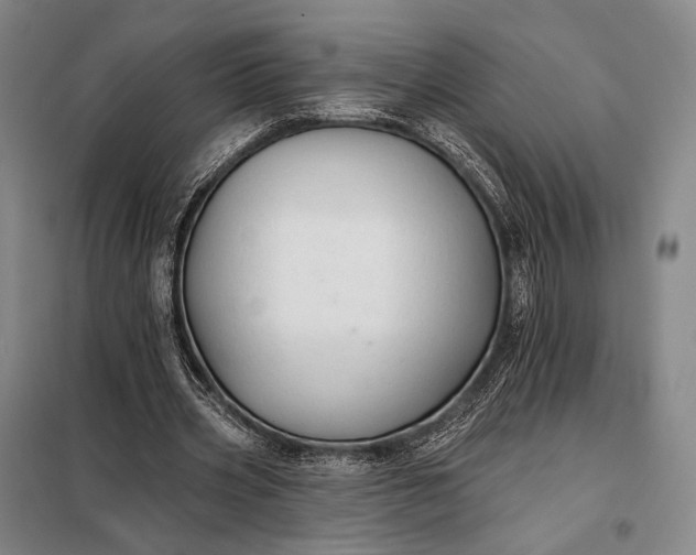 X0000098130533200805011323