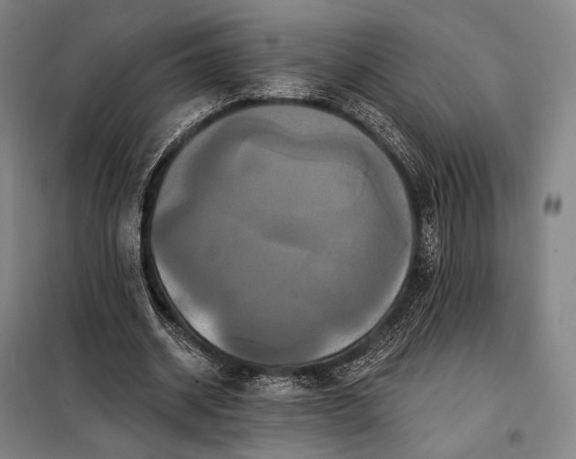 X0000098130534200805011323