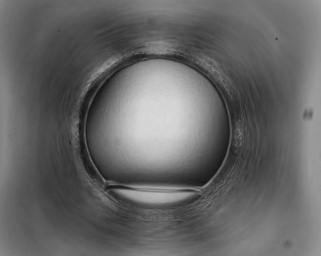 X0000098130535200805011323