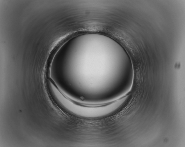 X0000098130536200805011323
