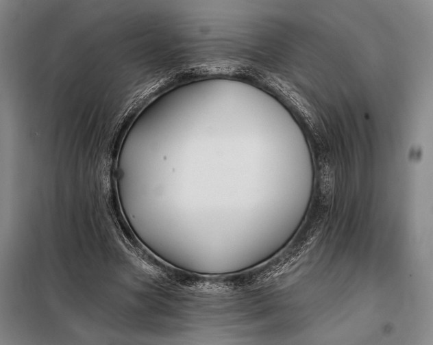 X0000098130537200805011323
