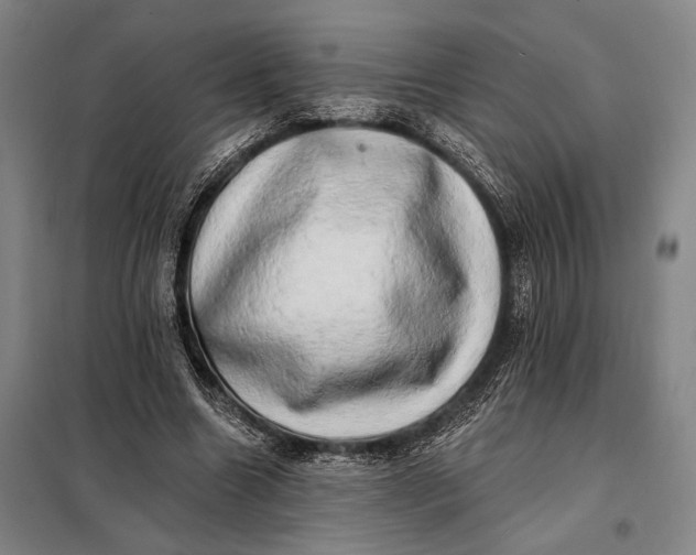 X0000098130538200805011323