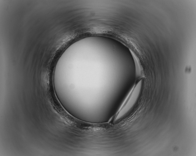 X0000098130539200805011323
