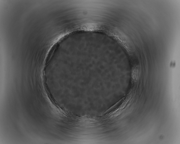 X0000098130540200805011323