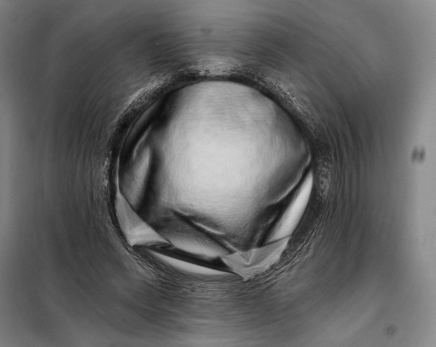 X0000098130543200805011323