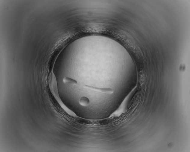 X0000098130544200805011323