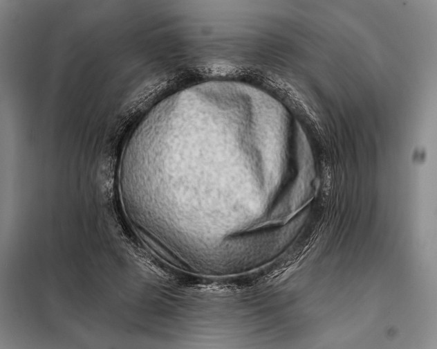 X0000098130545200805011323