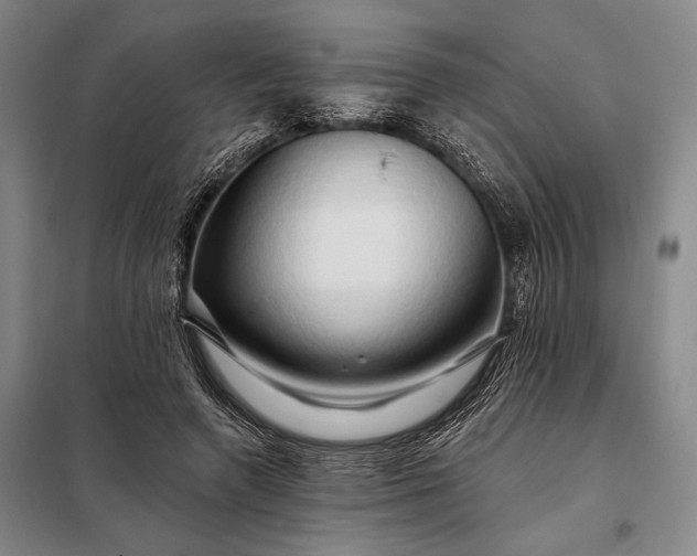 X0000098130546200805011323
