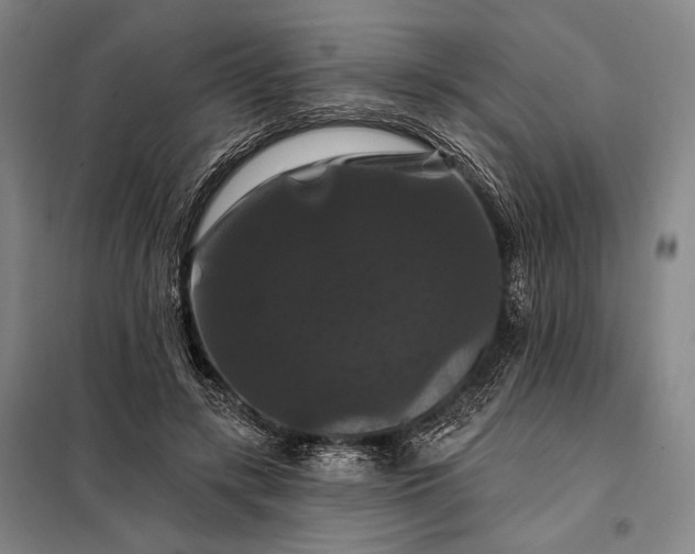 X0000098130547200805011323