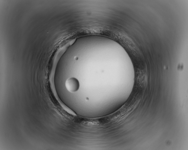 X0000098130548200805011323