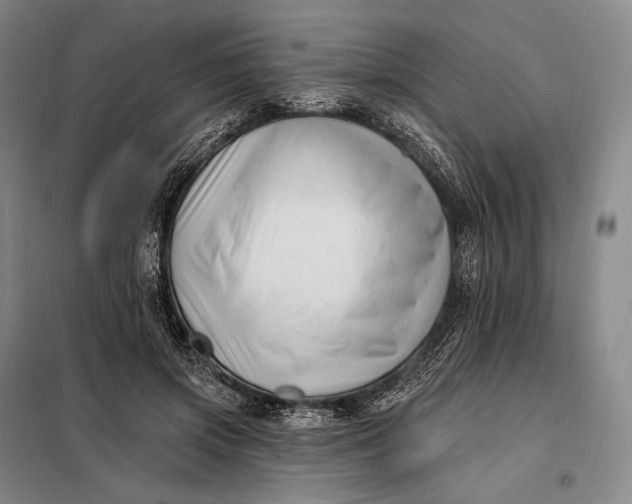 X0000098130549200805011323