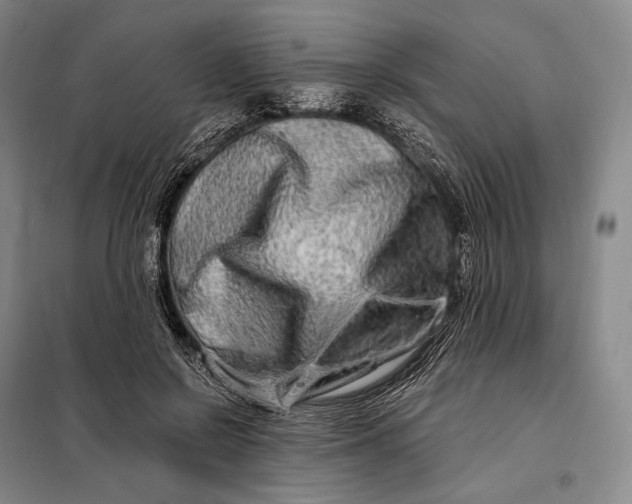 X0000098130550200805011323