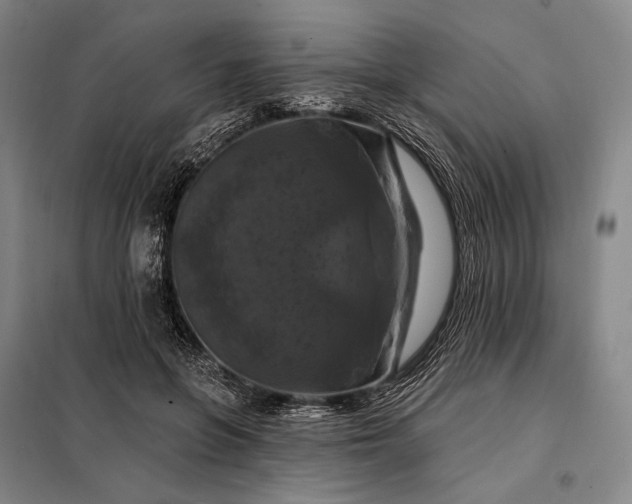X0000098130551200805011323