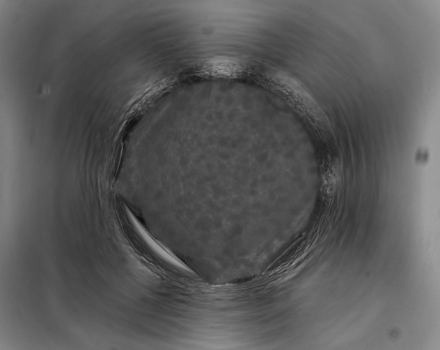X0000098130552200805011323