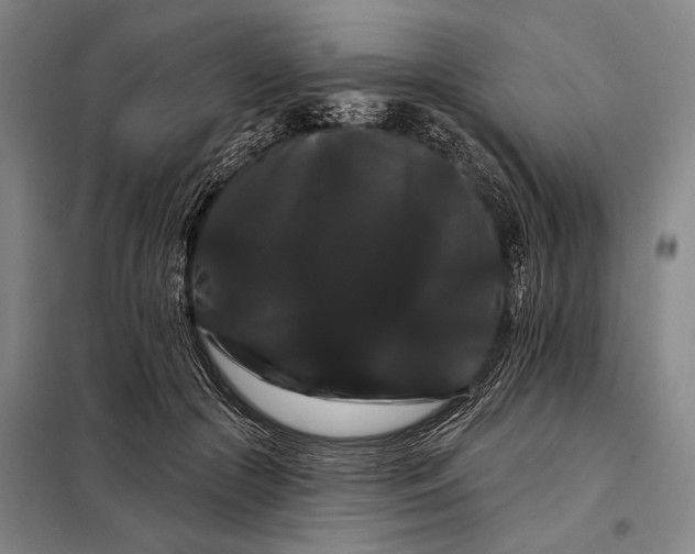 X0000098130553200805011323