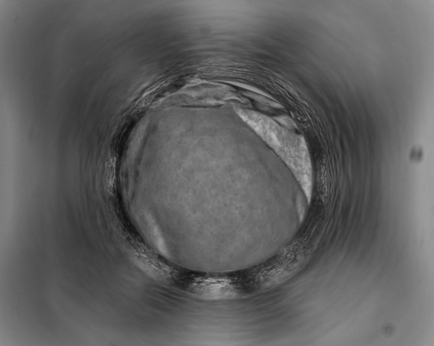 X0000098130554200805011323