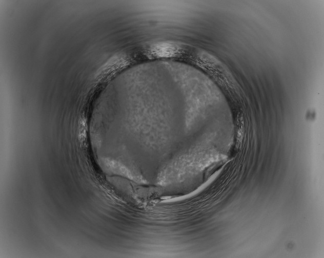 X0000098130555200805011323